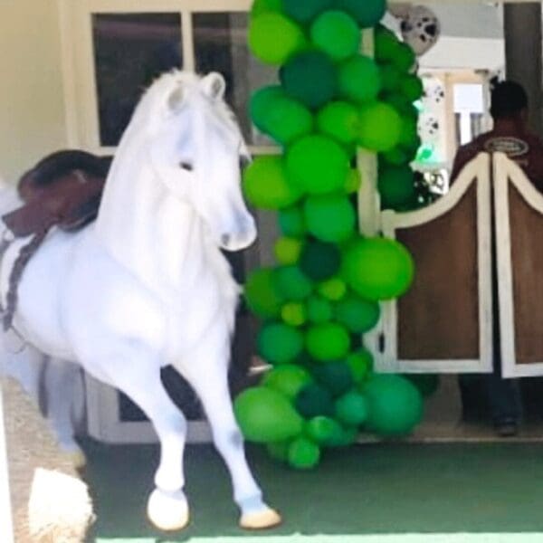 ESCULTURA CAVALO - CENOGRÁFICA - Imagem 2