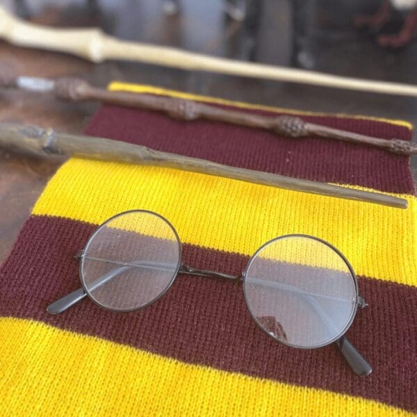 HARRY POTTER - Imagem 13