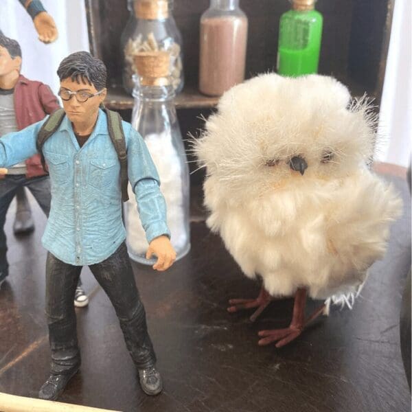 HARRY POTTER - Imagem 2