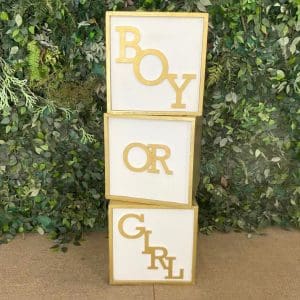 CUBOS - BOY OR GIRL