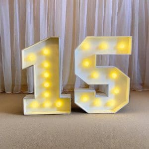 NÚMEROS 15 DE LED (MDF)