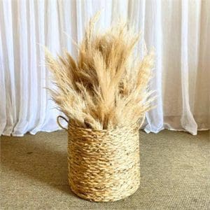 CESTO DE VIME C/ CAPIM DOS PAMPAS