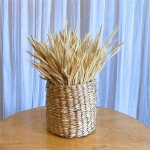 CESTO DE VIME C/ TRIGO