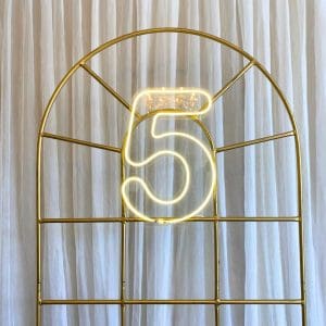 NÚMERO 5 DE LED NEON