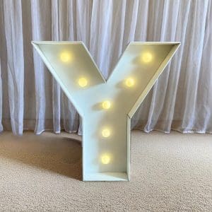LETRA Y DE LED (MDF)
