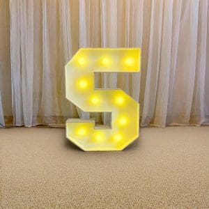 NÚMERO 5 DE LED (MDF)