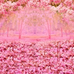 TECIDO SUBLIMA&Ccedil;&Atilde;O - PAINEL RETANGULAR - JARDIM ROSA