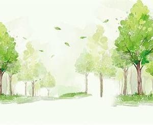 TECIDO SUBLIMA&Ccedil;&Atilde;O - PAINEL RETANGULAR - BOSQUE