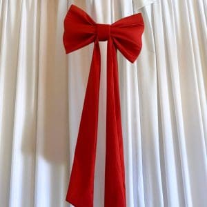 LA&Ccedil;OS VERMELHOS