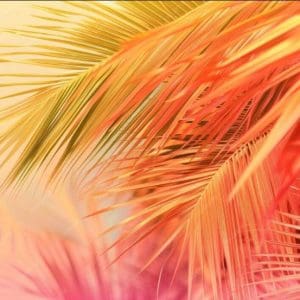 TECIDO SUBLIMA&Ccedil;&Atilde;O - TROPICAL